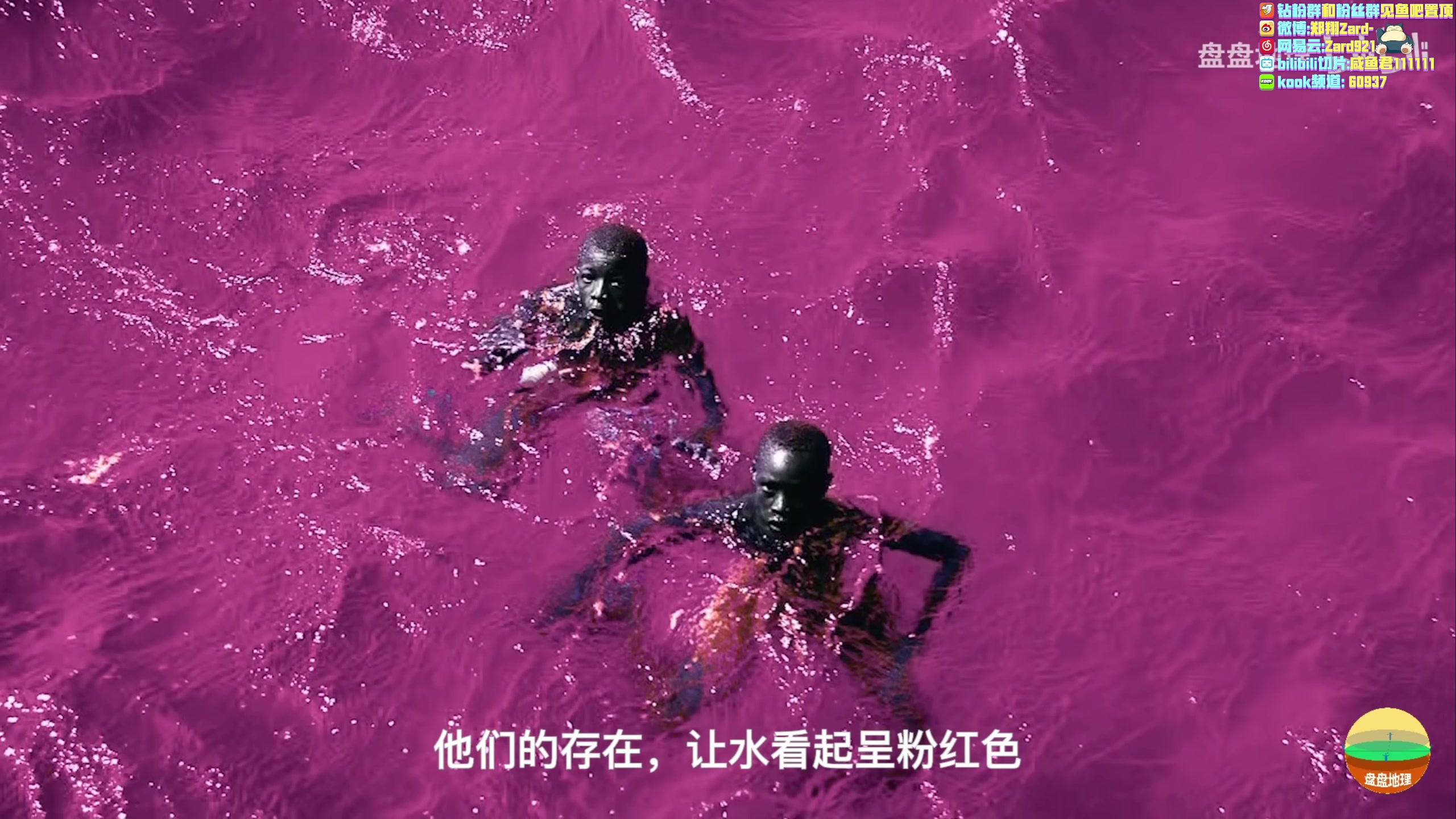 【2023-05-09 23点场】zard1991：zard1991 等下0点更新