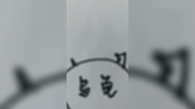 【呆妹】家人们 这乌龟咋回事啊