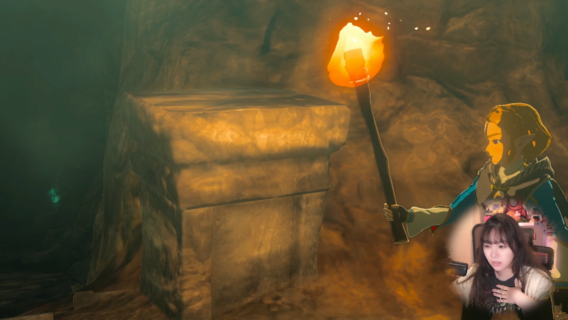 【塞尔达传说：王国之泪】甜心战士的精彩时刻 20230511 23点场