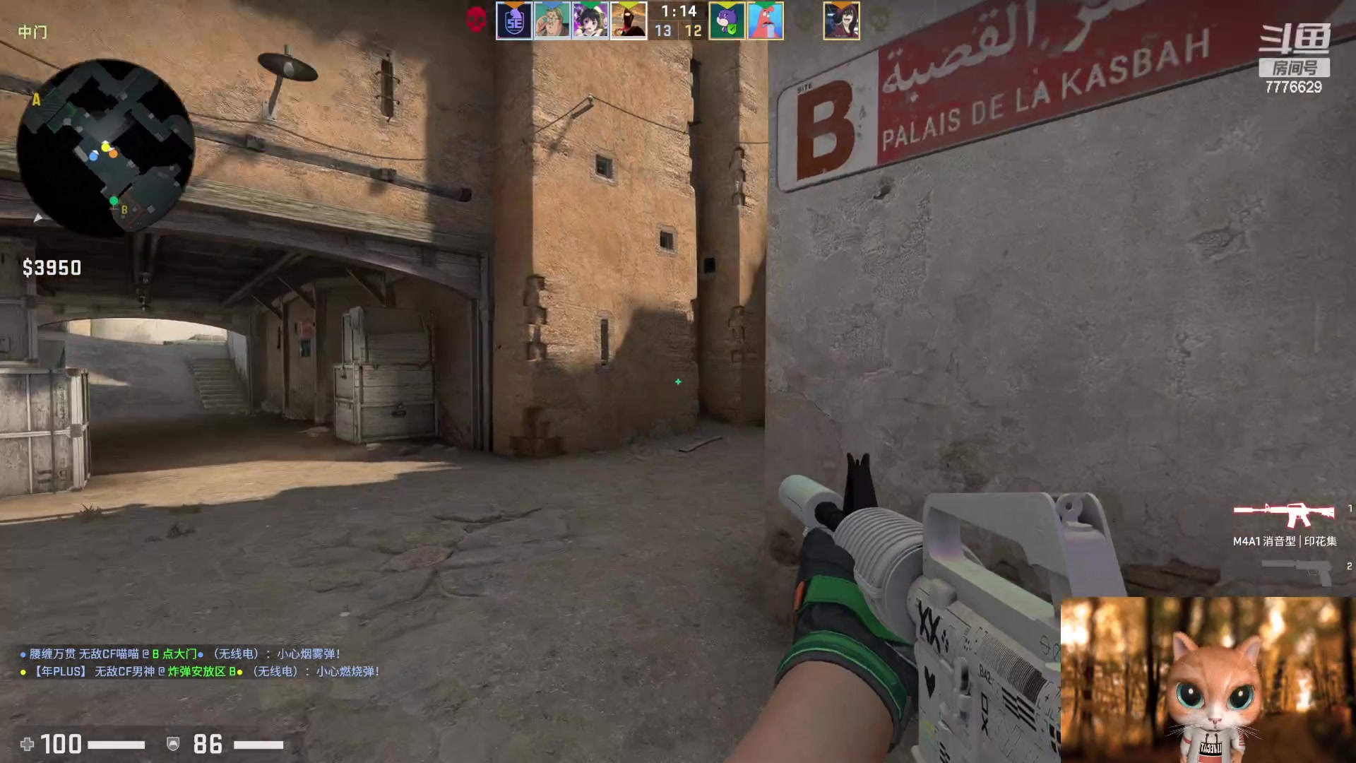 【2023-05-10 02点场】秀才冷男：【小奶团】发烧中，直播不固定双倍已开~