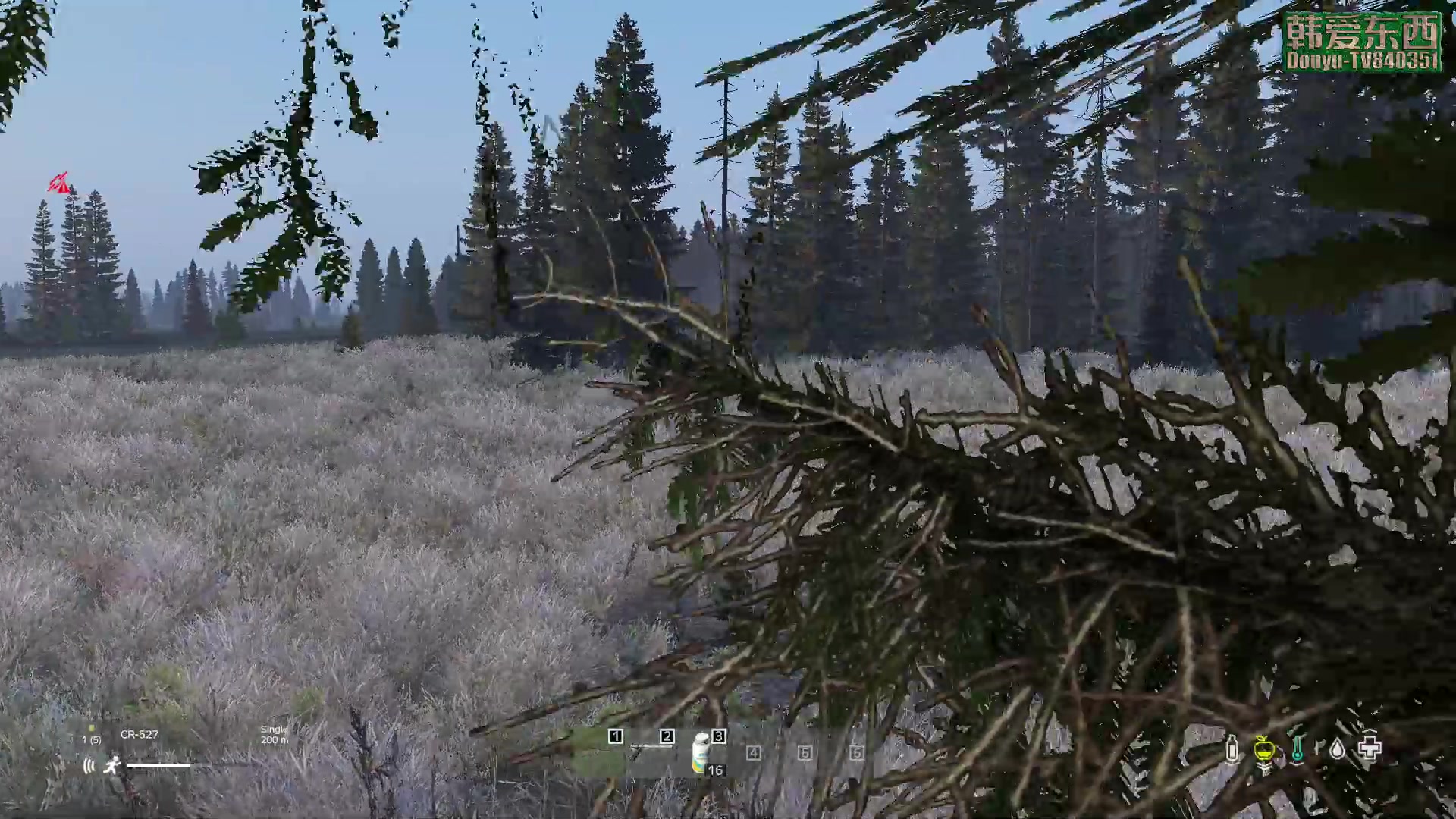 【2023-05-11 17点场】dayz韩爱东西：纳马斯克荒岛余生