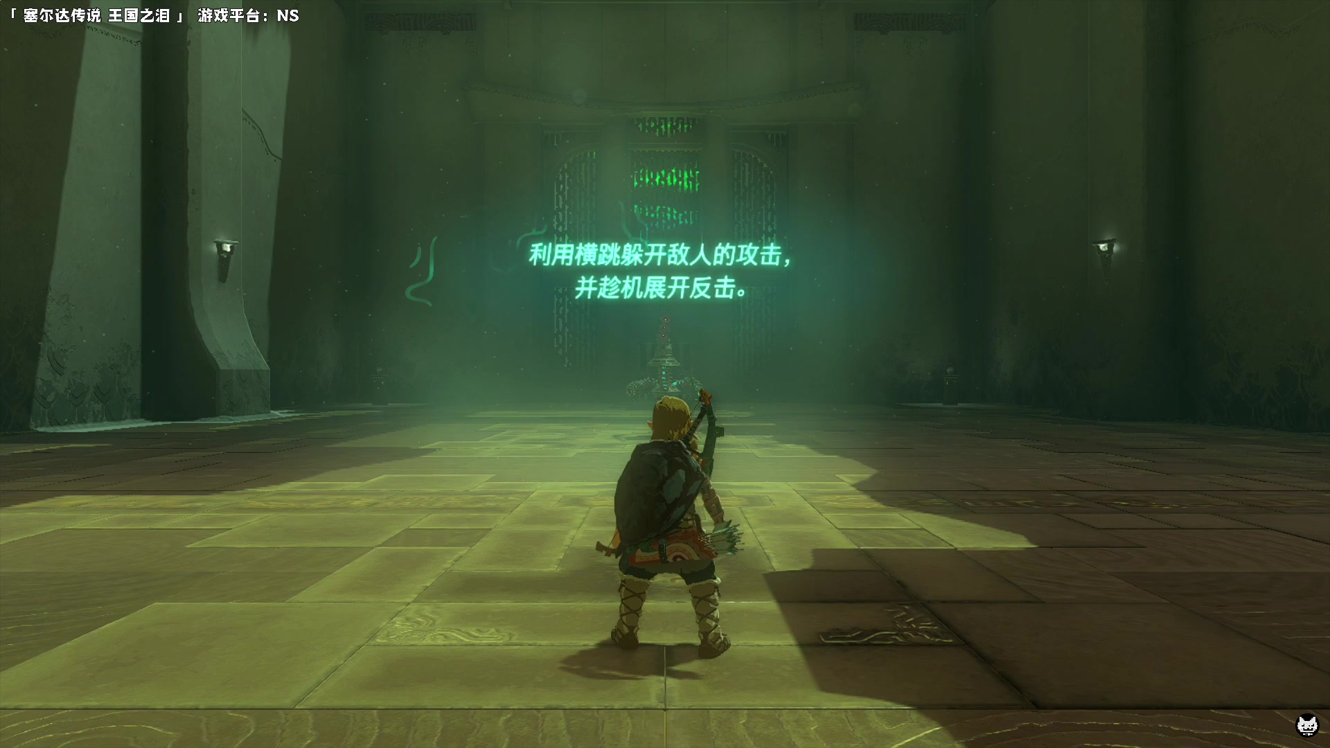 【2023-05-12 20点场】老猫CatGames：【Cat】塞尔达传说 王国之泪 新游开荒