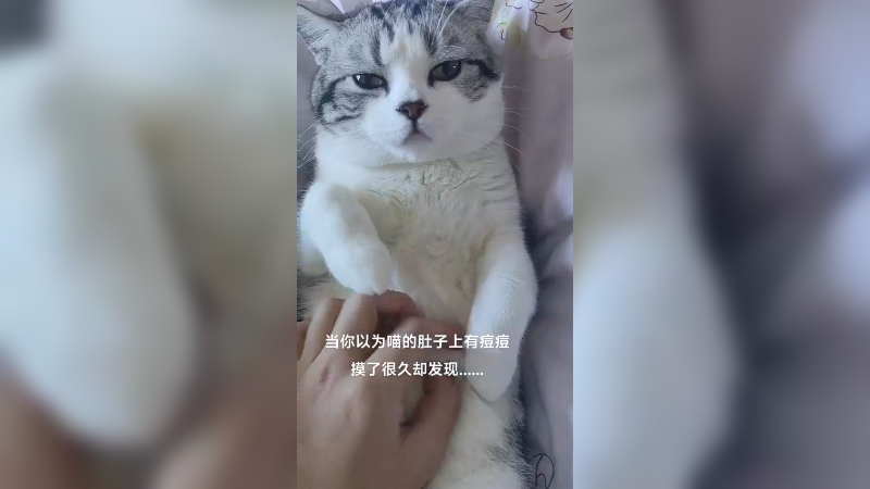 7231019486013459768_17岁纳斯达克养喵小伙_喵桑我不是故意的......谁能拒绝怀里的小猫咪呢
