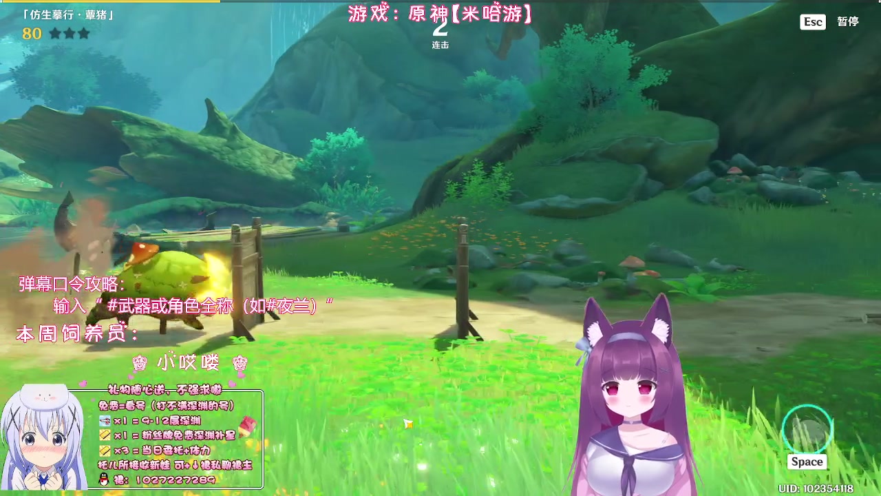 【2023-05-12 02点场】Corgi酱紫：粉丝牌牌深渊每期补3颗星星嗷
