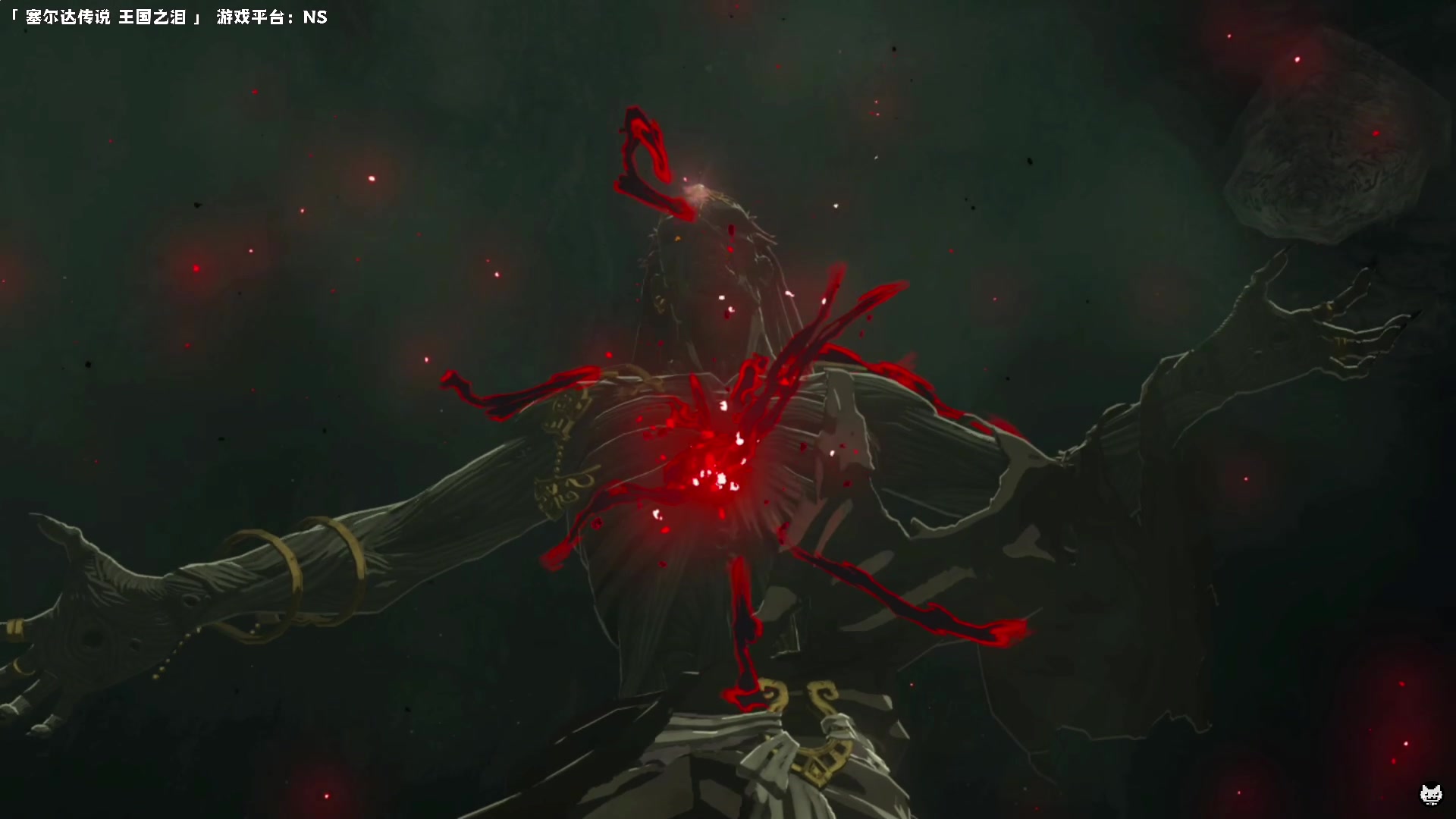 【2023-05-11 22点场】老猫CatGames：【Cat】塞尔达传说 王国之泪 新游开荒