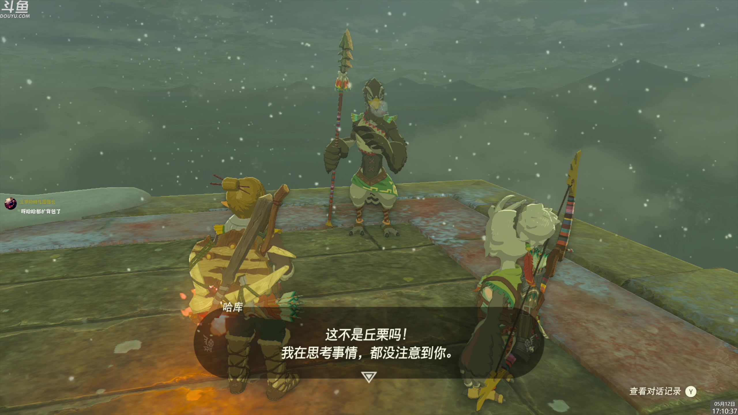 【2023-05-12 16点场】神隐的直播间：神隐：塞尔达传说 王国之泪 通宵首播