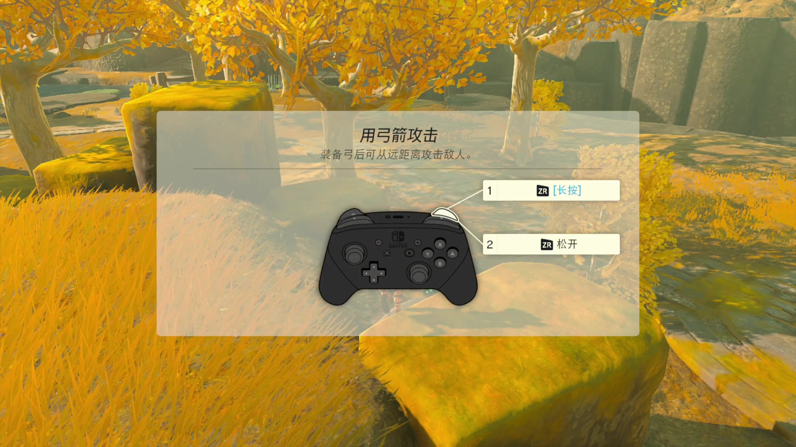【2023-05-12 11点场】午夜抹抹茶：【茶】带你体验最精彩的塞尔达世界