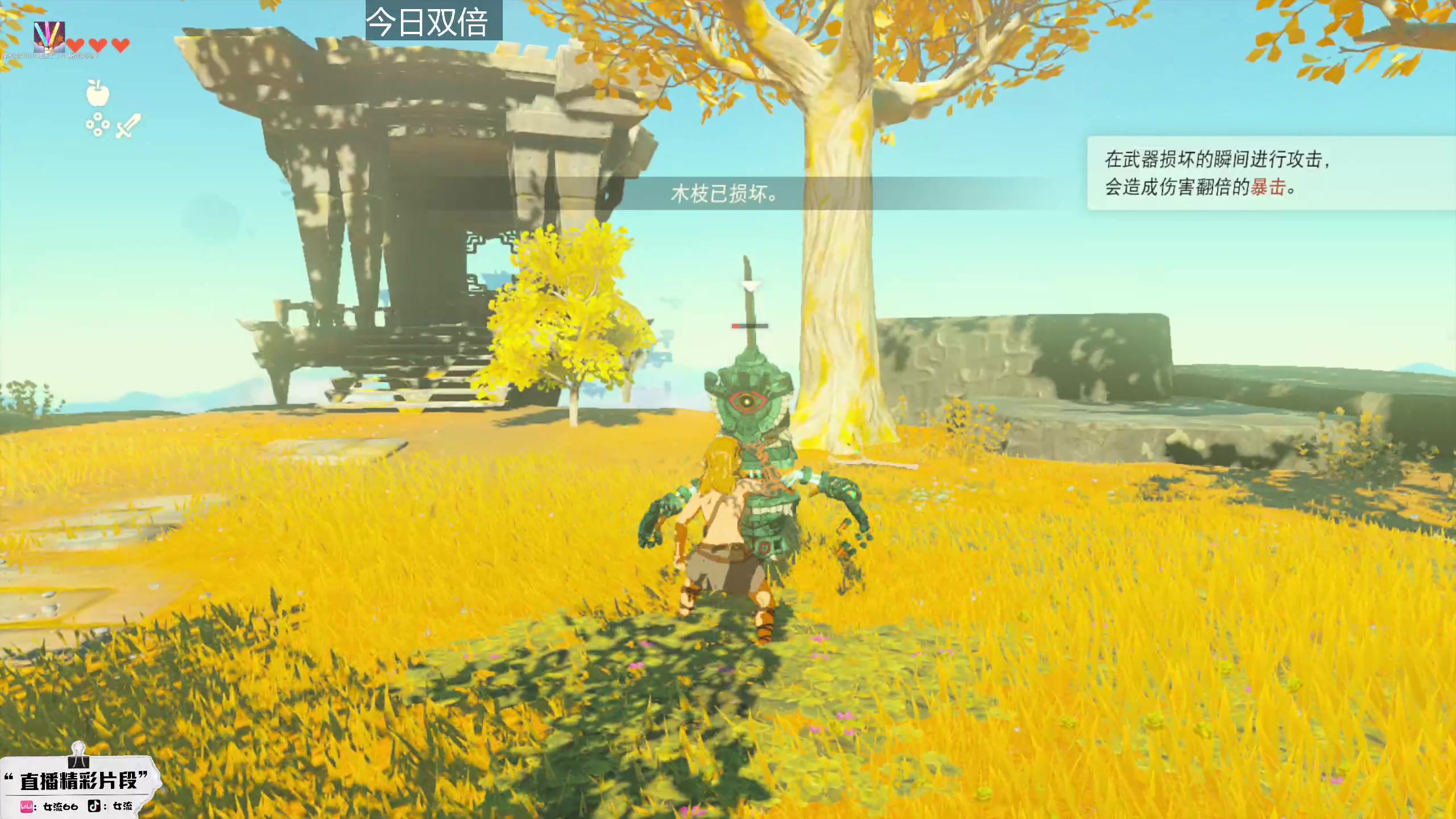 【2023-05-12 10点场】女流66：上午10点来塞尔达！！！