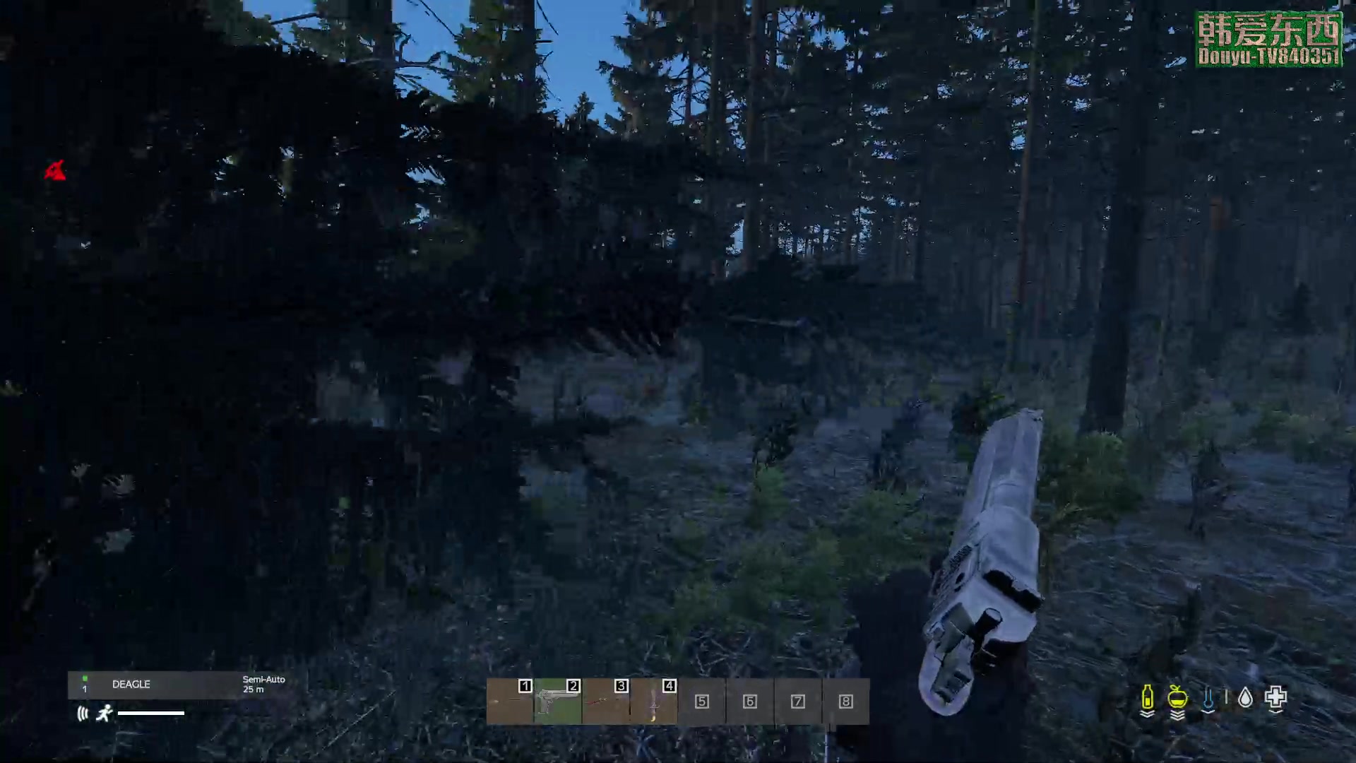 【2023-05-12 19点场】dayz韩爱东西：纳马斯克荒岛余生