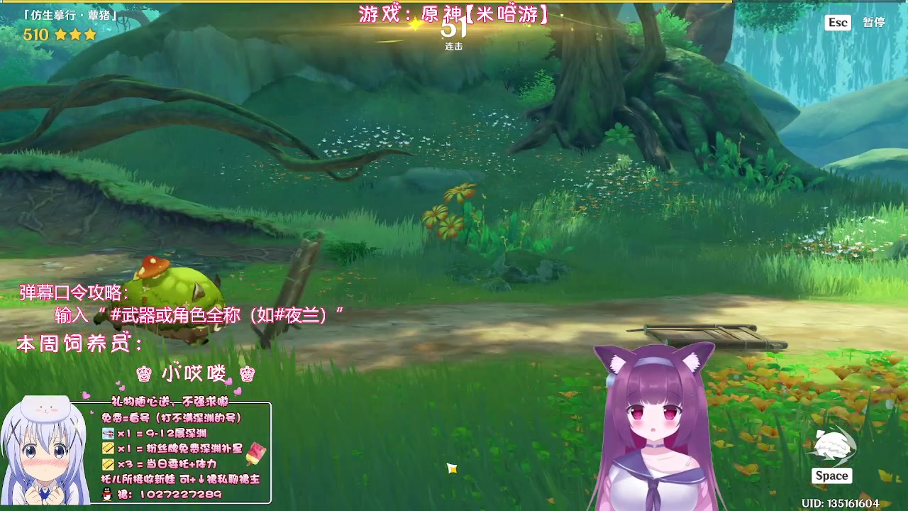 【2023-05-11 00点场】Corgi酱紫：粉丝牌牌深渊每期补3颗星星嗷