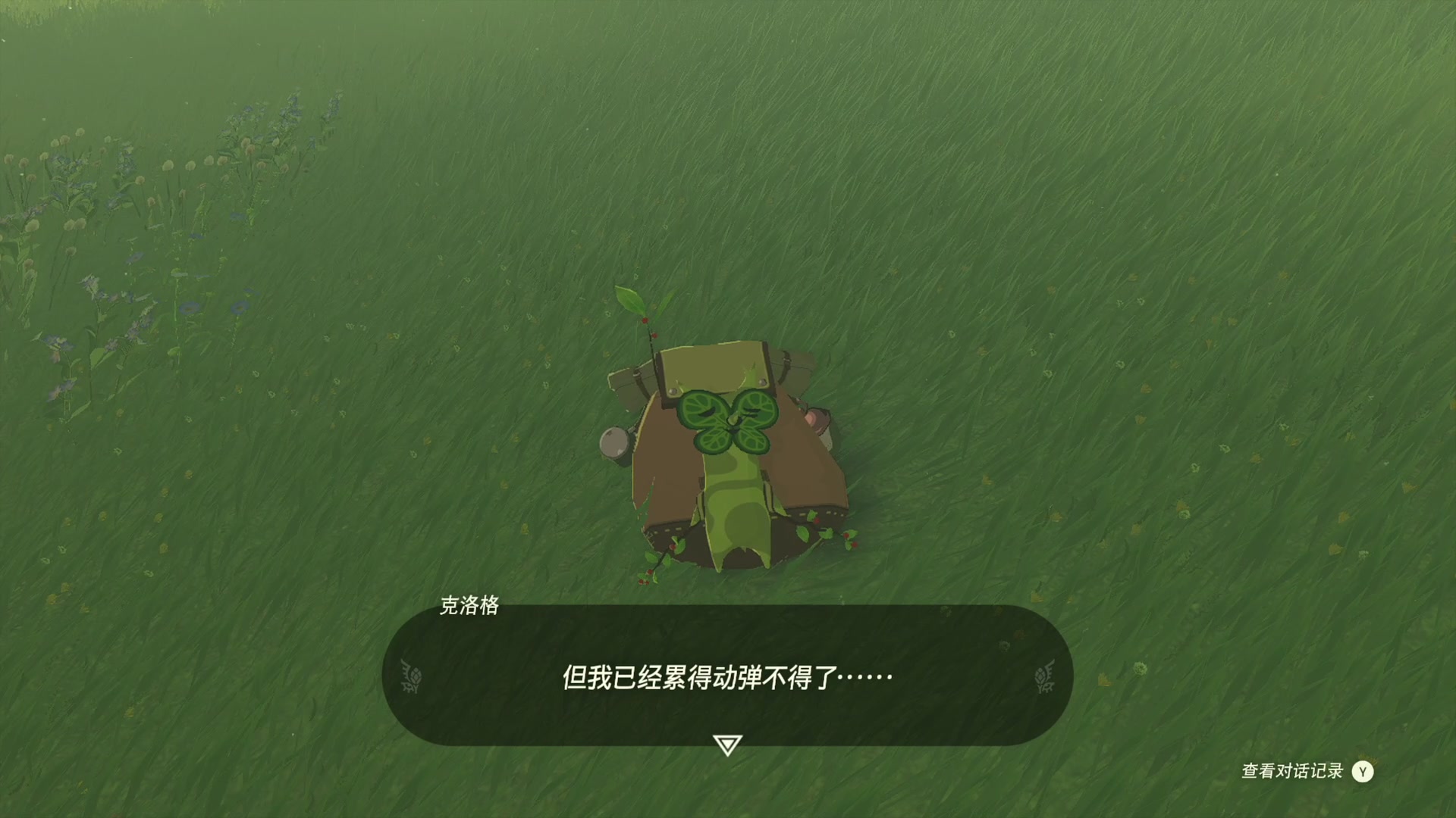 【2023-05-13 20点场】尐表哥：五月的精神焕发