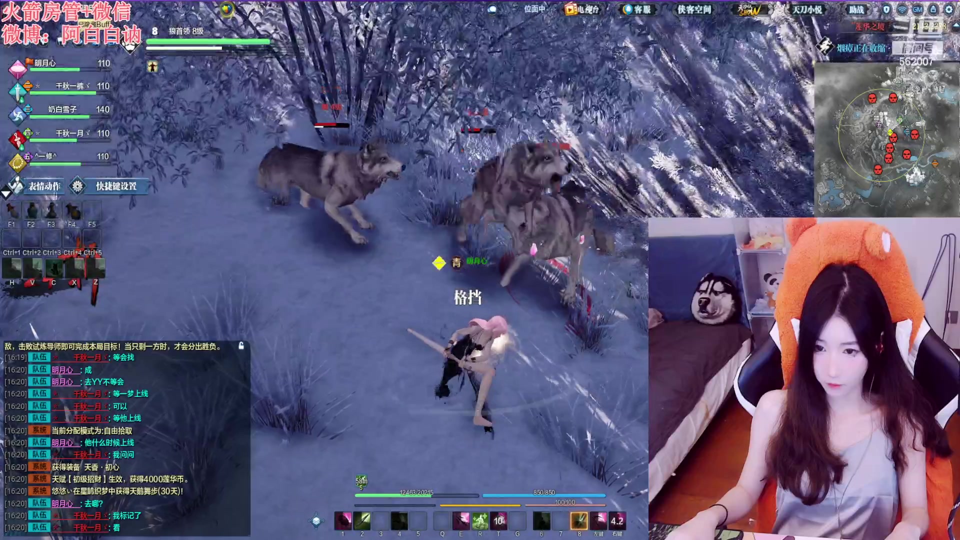 【2023-05-13 15点场】白菇凉：阿白白：玩什么呢？