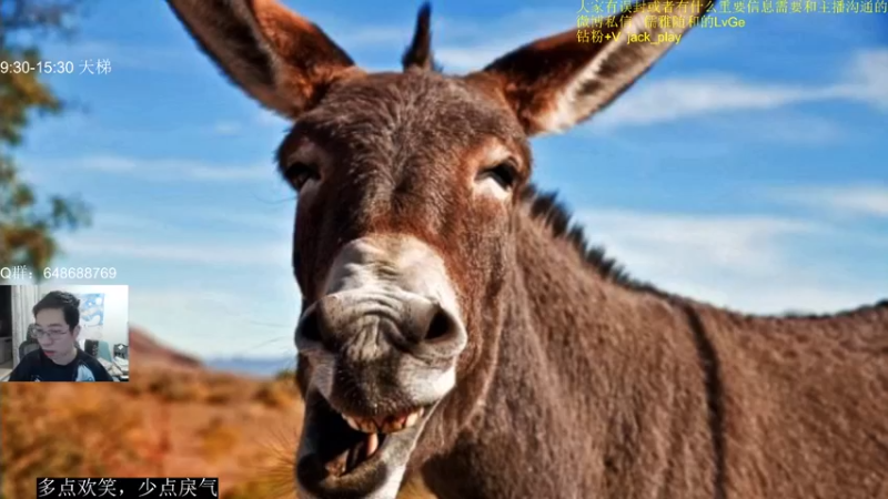 【2023-05-13 19点场】驴鸽LvGe：努力，奋斗，做自己的开心果！
