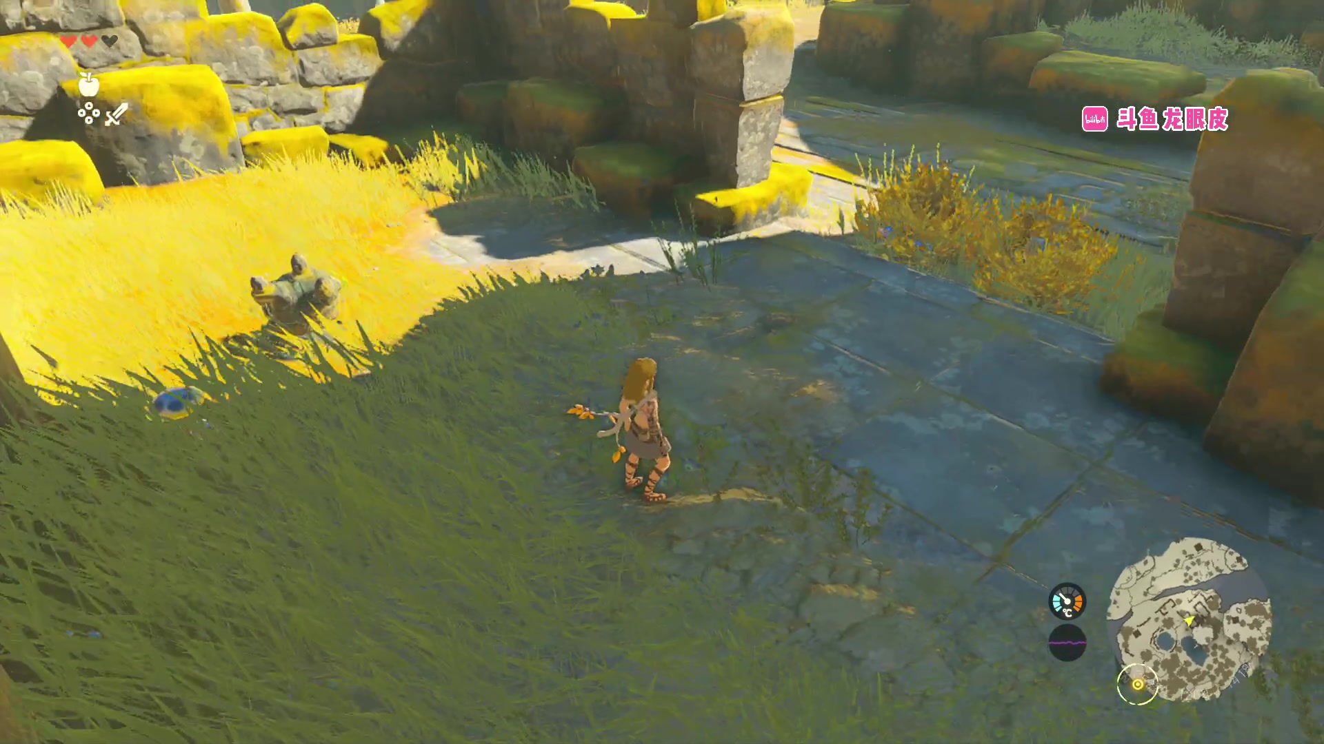 【2023-05-12 15点场】龙眼皮Lyd：塞尔达王国之泪终于来啦！