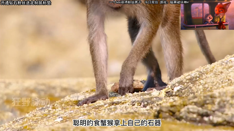 【主机其他游戏】狐狸不太Sao的精彩时刻 20230513 14点场