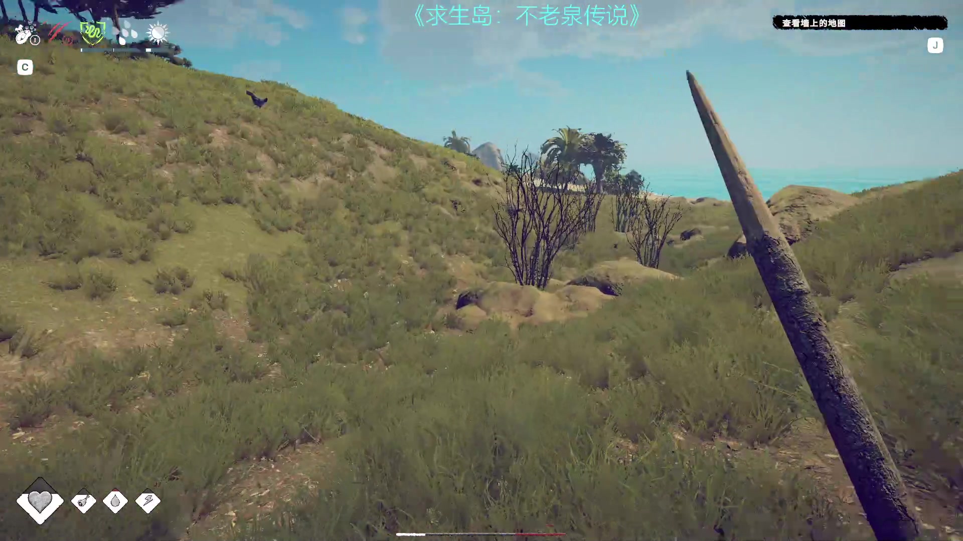 【2023-05-12 17点场】摇摇摇摇光：求生岛：不老泉传说