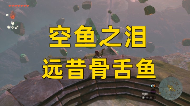 【王国之泪】空鱼之泪位置   远昔骨舌鱼获取