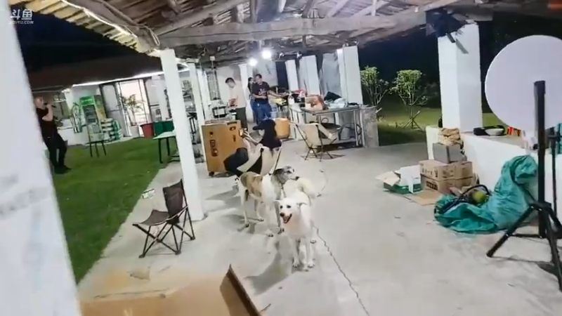 五毒唱歌是真不错啊