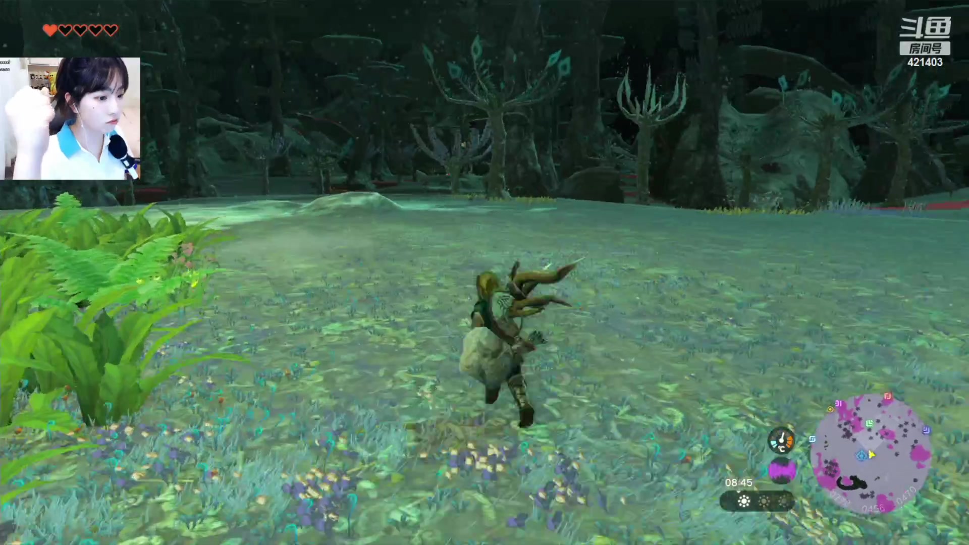 【2023-5-13 18点场】高小霏:王国之泪我来啦！