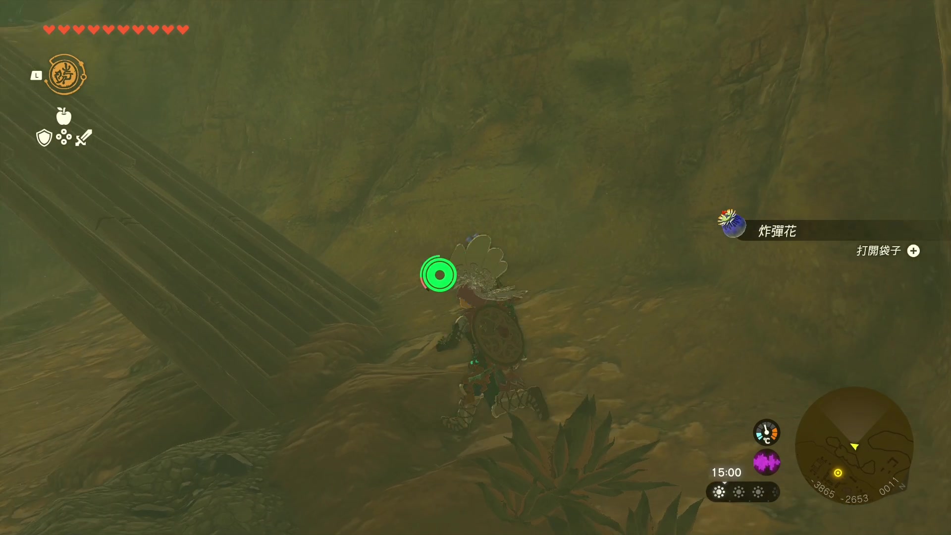 【2023-05-15 12点场】这个ID很流弊：塞尔达 王国之泪~赛高！！（ID