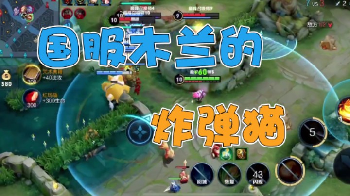 国服木兰的炸弹猫