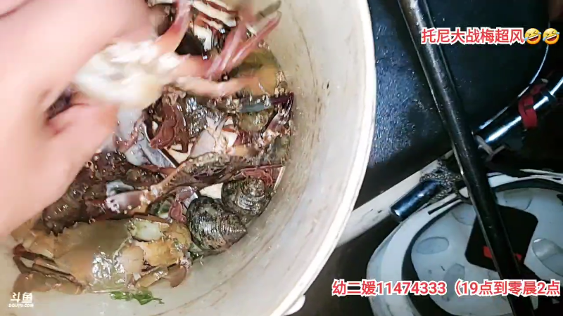 【户外】许文强户外的精彩时刻 20230515 00点场