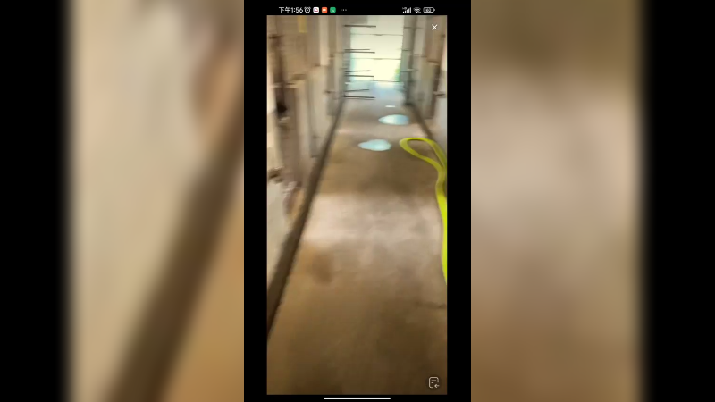 饲养员去喂老虎吃肉，老虎不想理他啊