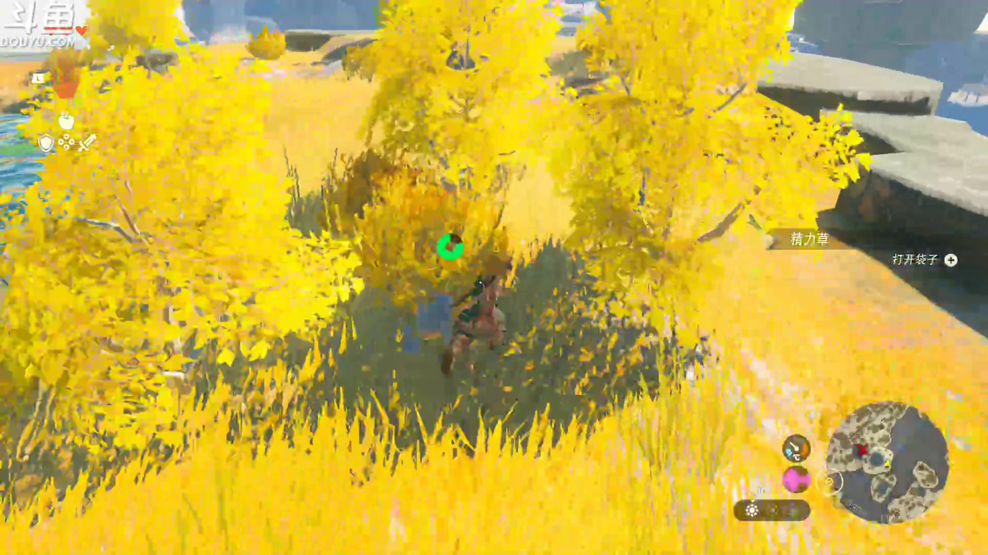 【2023-05-16 13点场】its宁玉今秋：我的王国之泪终于到了QAQ