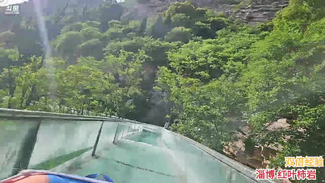 【2023-5-16 15点场】o北京斌子o:红叶柿岩。