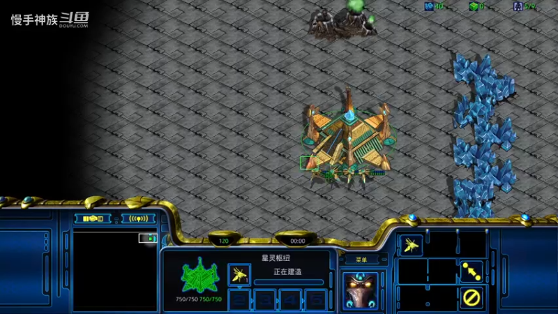 pvz-必要的建筑学很重要-慢手神族-韩服-星际争霸