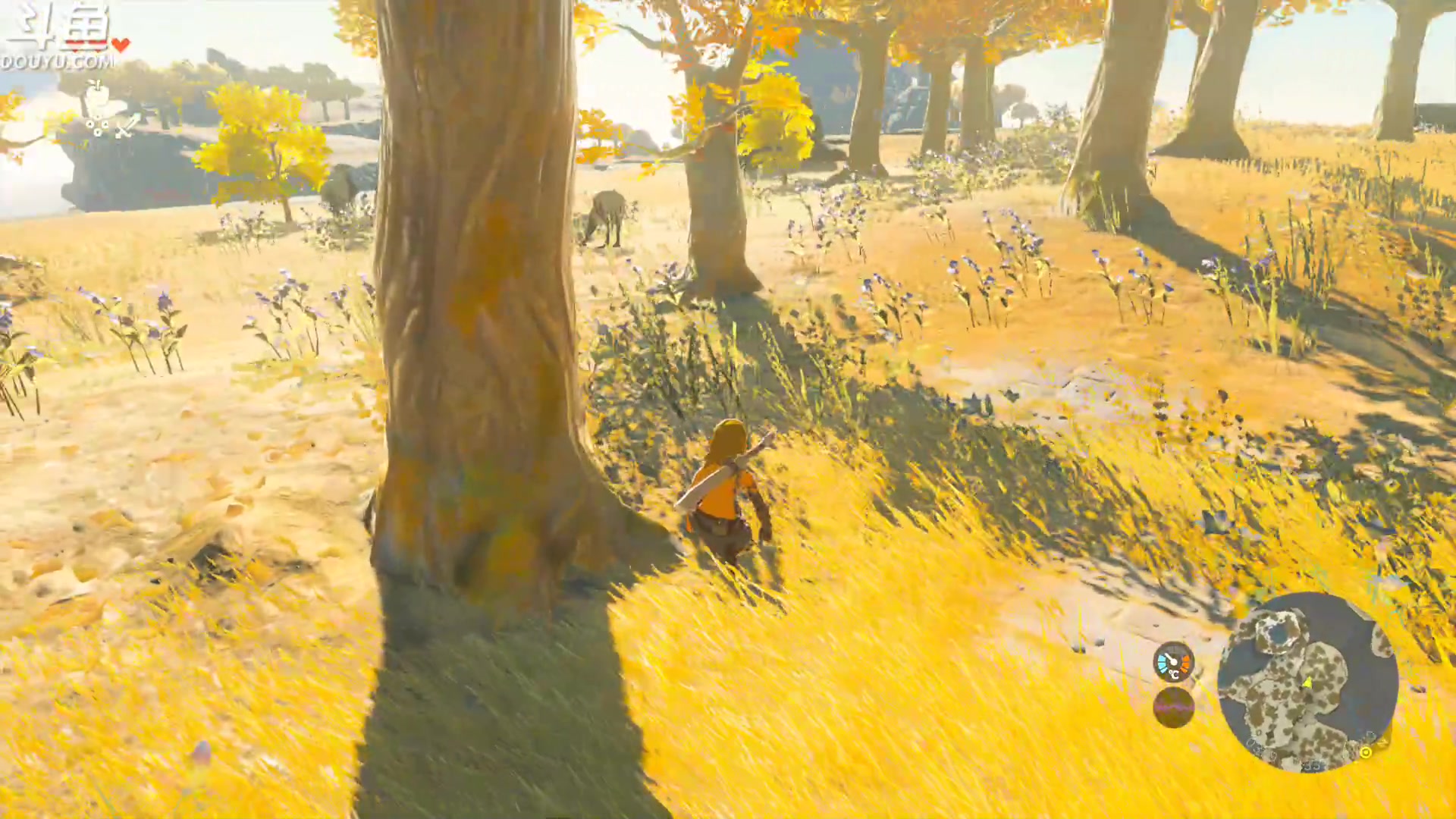 【2023-05-16 09点场】its宁玉今秋：我的王国之泪终于到了QAQ