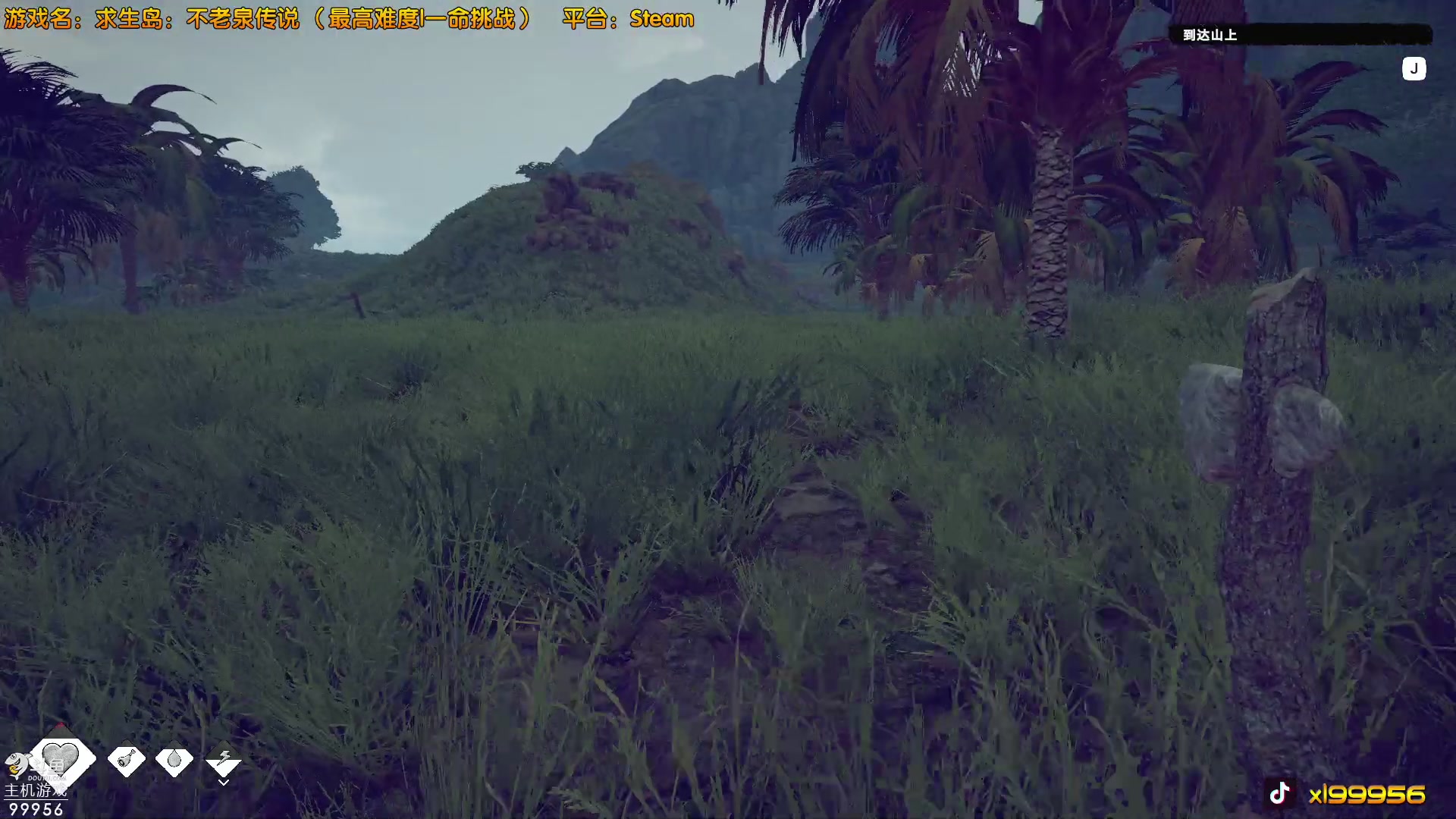 【2023-05-16 13点场】泫漓：荒岛如何生存？