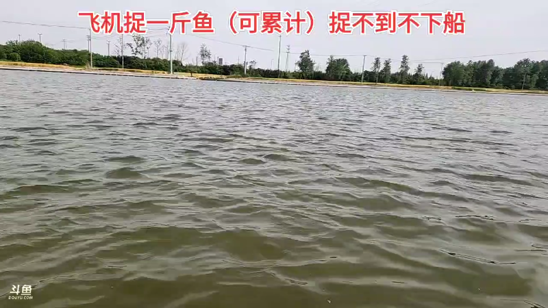 【户外】微山湖捕鱼武工队的精彩时刻 20230516 14点场