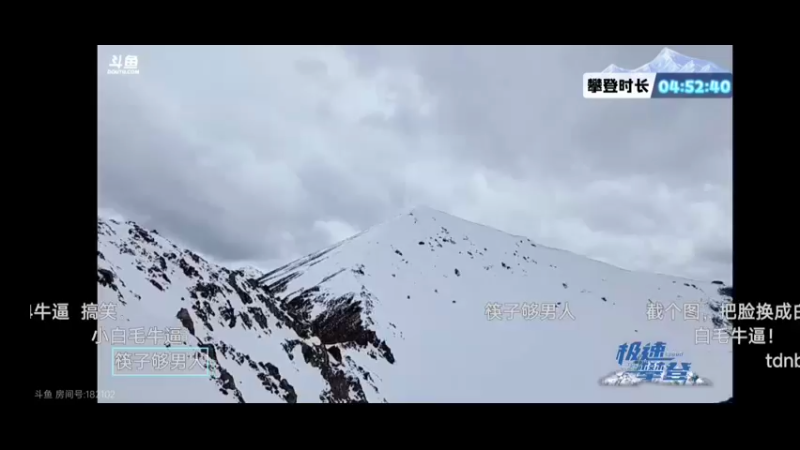 白毛没力气爬雪山，筷子一个人爬上了