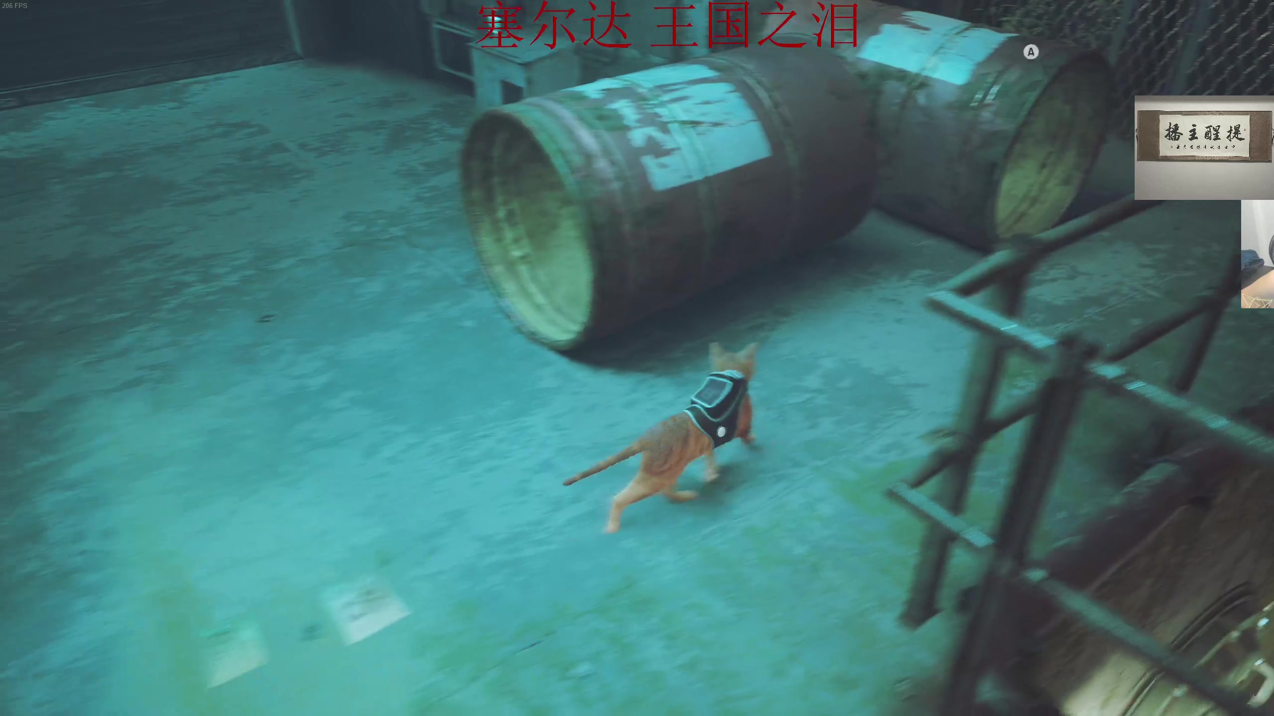 【2023-05-15 23点场】章随便先生：全神庙！！！！