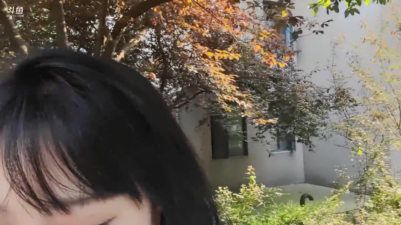 【2023-05-17 16点场】刘飞儿faye：飞儿 青蛙人