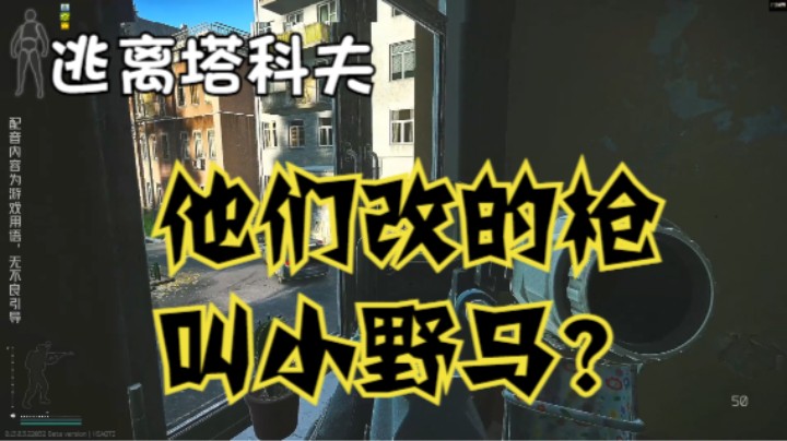 他们改的枪叫小野马？
