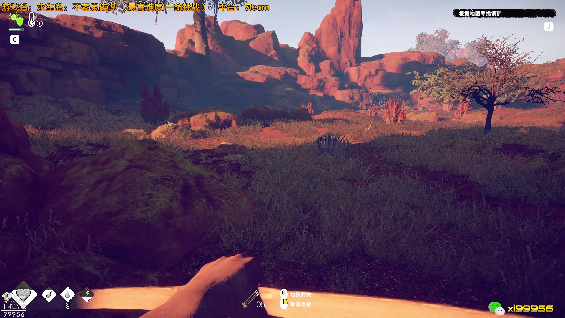 【2023-05-17 16点场】泫漓：荒岛如何生存？