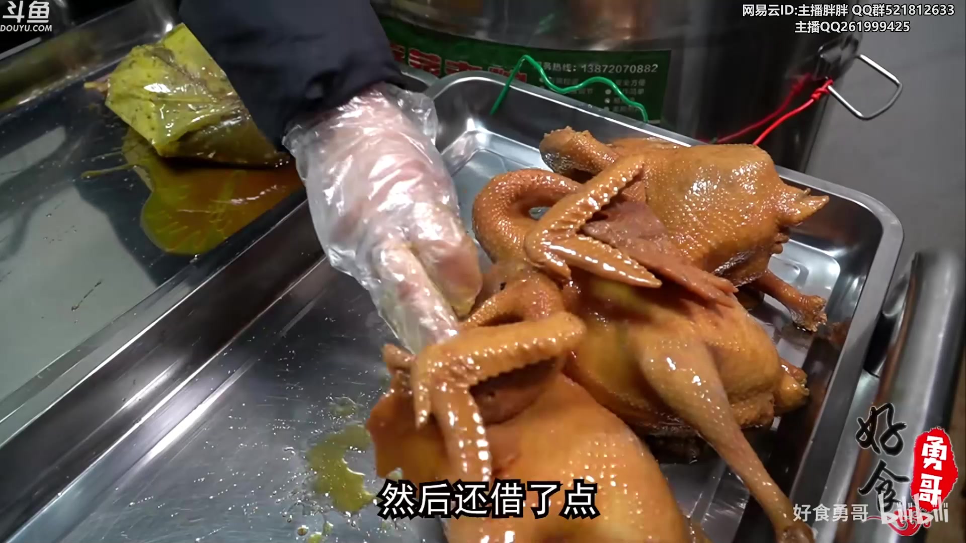 【2023-05-18 00点场】胖胖灬：胖胖OB：欧服 JD T1 赛前排位