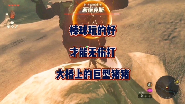 棒球玩的好！才能无伤打大桥上的巨型猪猪！