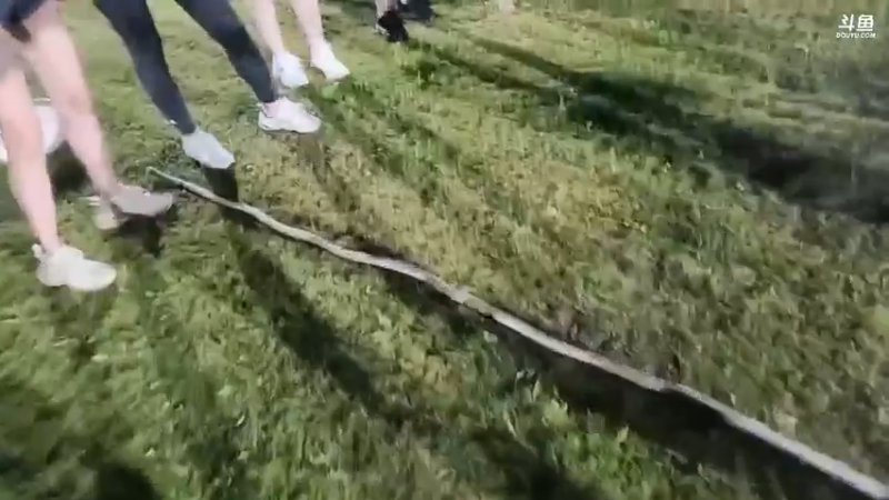 肖哥看雨哥拉女嘉宾拿水瓶，九妹厉害啊