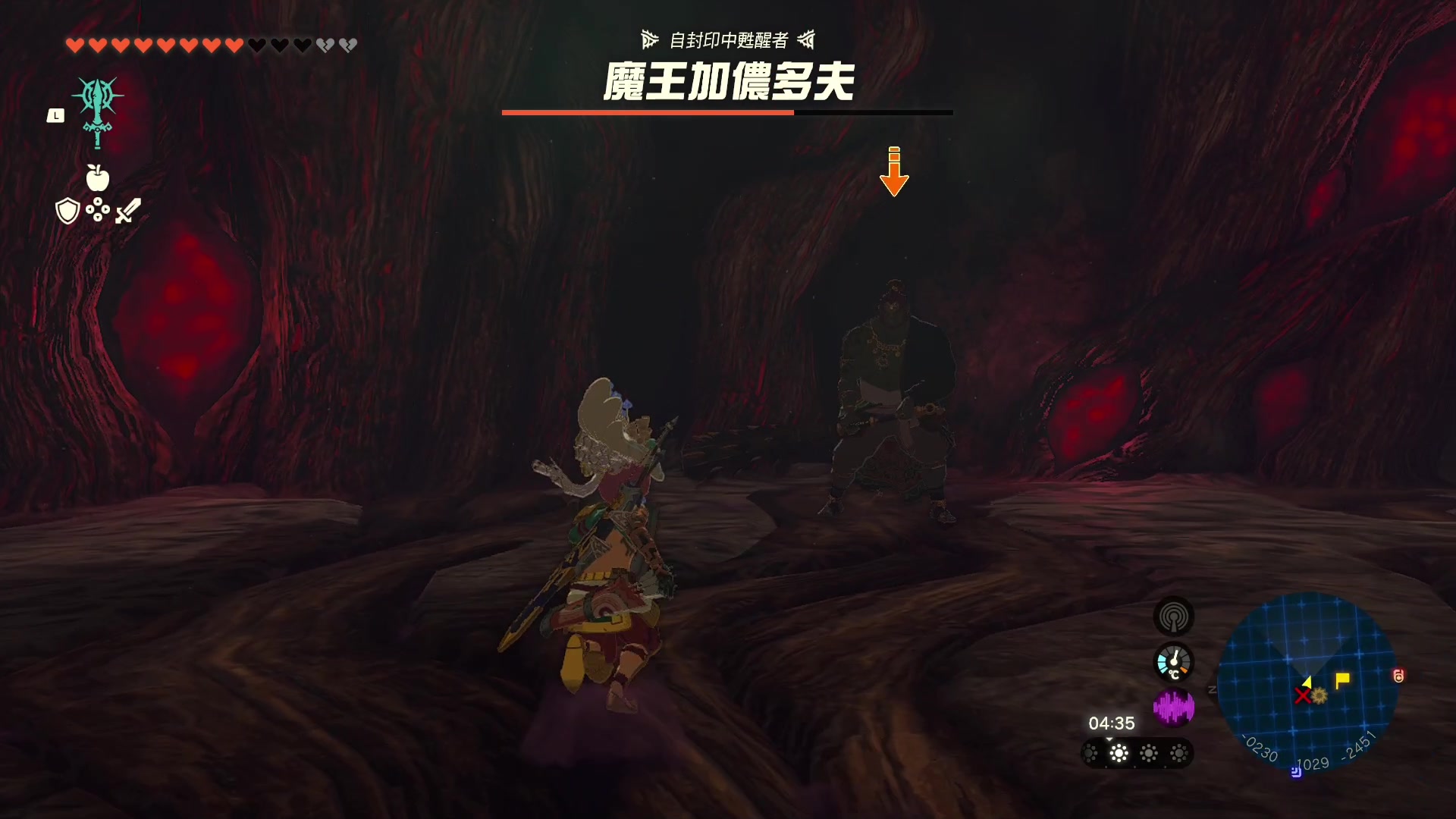 【2023-05-18 12点场】这个ID很流弊：塞尔达传说 王国之泪 呀哈哈~（ID