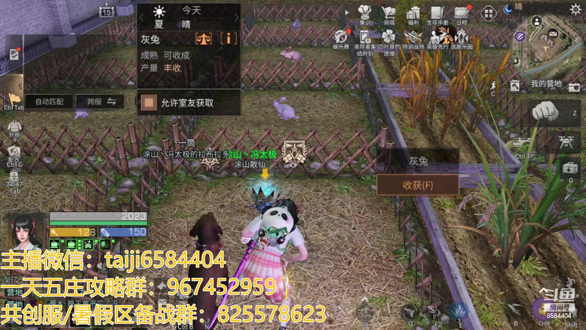 【2023-05-19 20点场】中华田园冯太极：备战共创服/或者暑假区