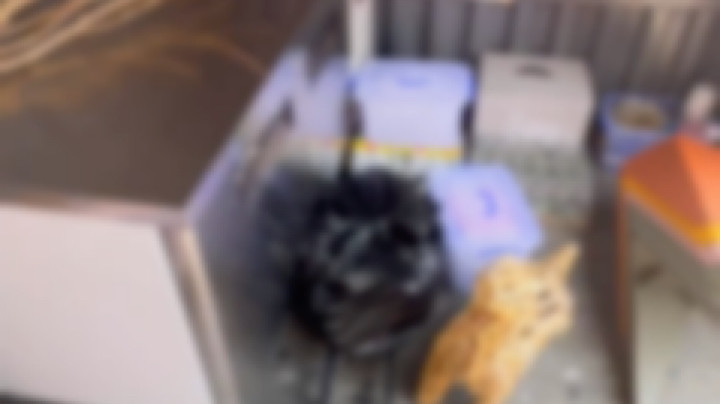 AMG小牧发布了一个斗鱼视频2023-05-19
