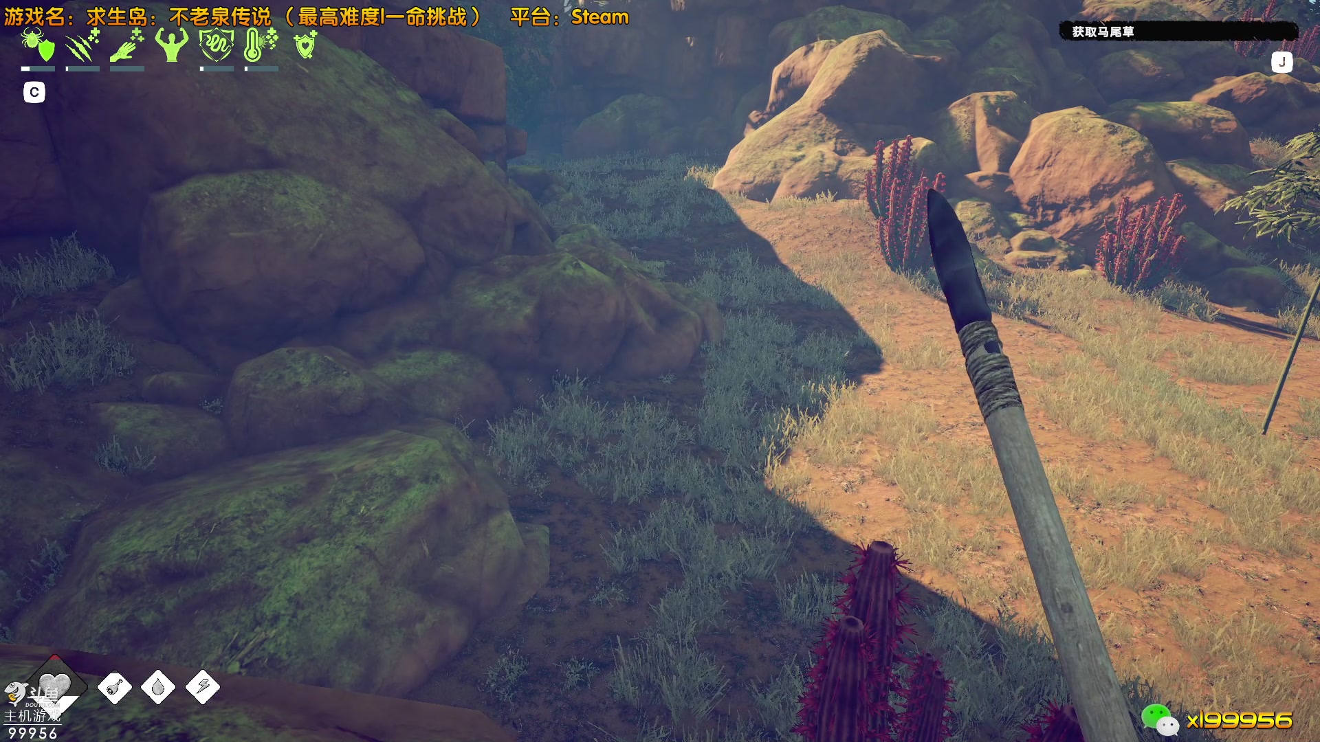 【2023-05-18 23点场】泫漓：荒岛如何生存？