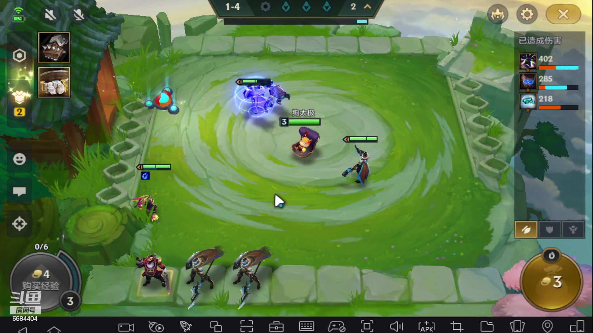 【2023-05-19 01点场】中华田园冯太极：备战共创服/或者暑假区