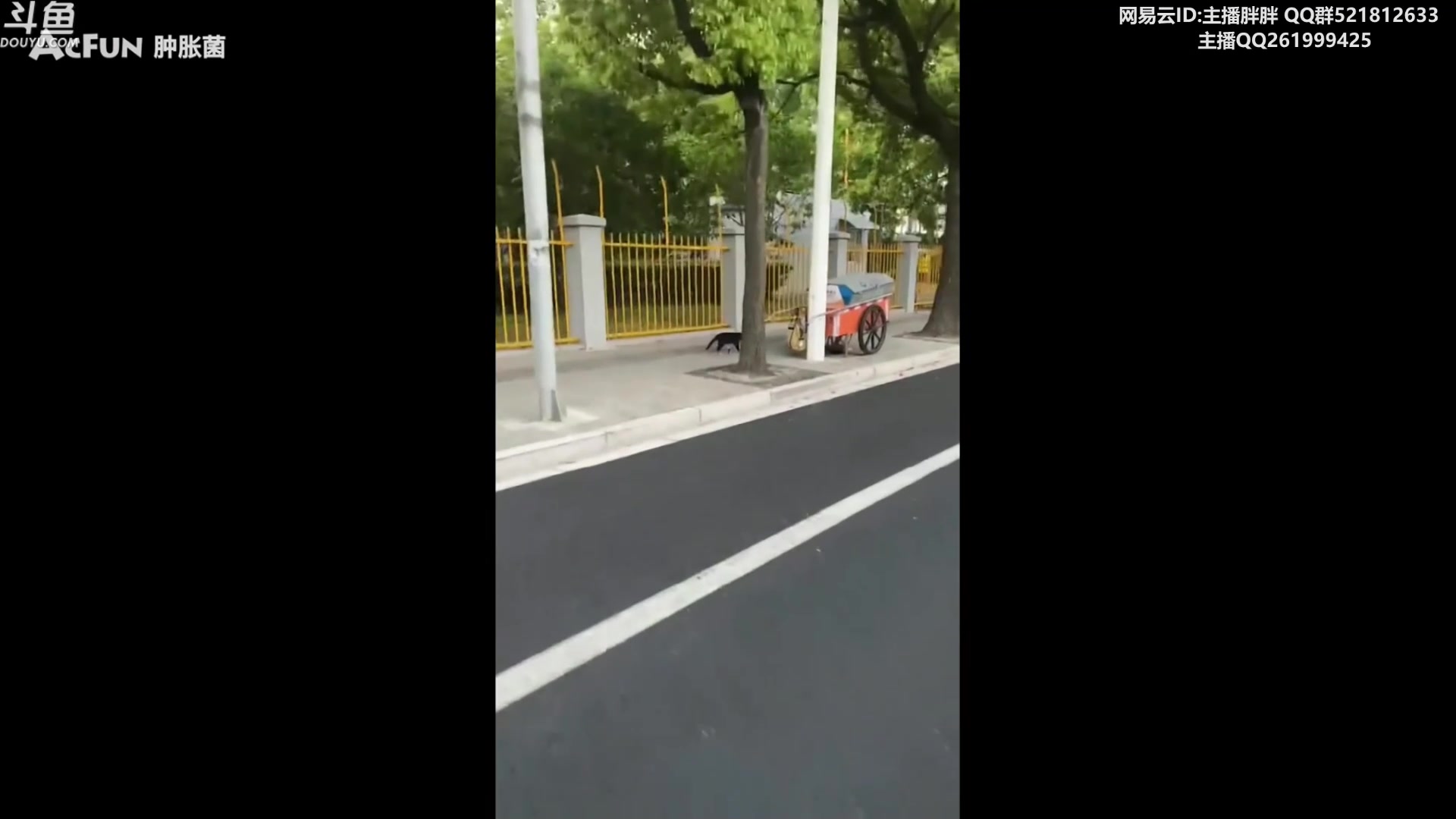 【2023-05-20 04点场】胖胖灬：胖胖OB：BLG强啊，韩国解说倒了