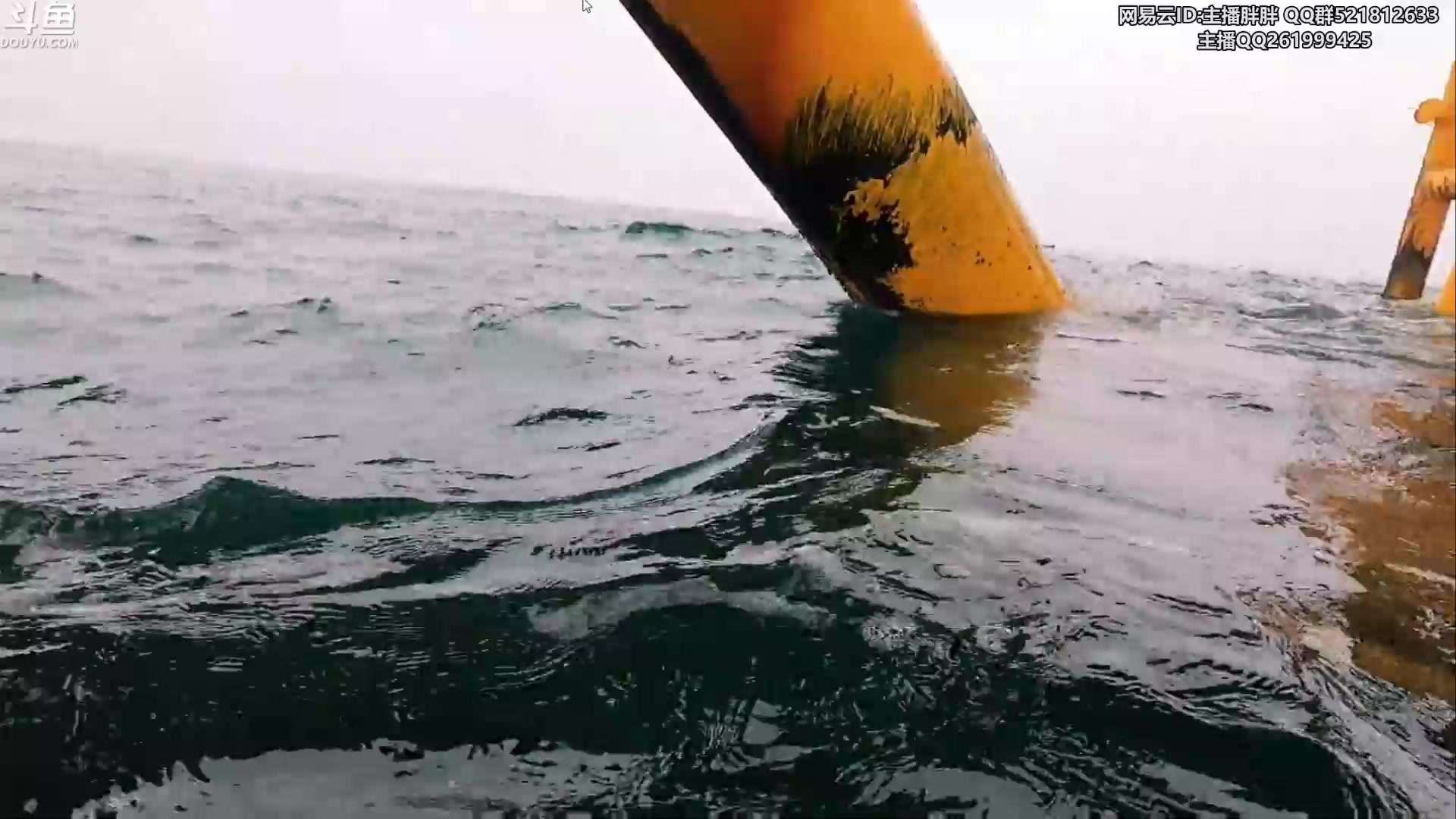 【2023-05-21 02点场】胖胖灬：胖胖OB：LPL内战！韩国解说崩溃！