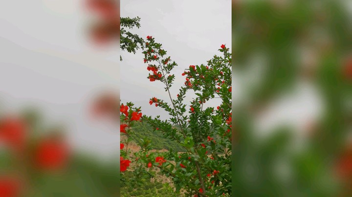 洁夕小仙女发布了一个斗鱼视频2023-05-21