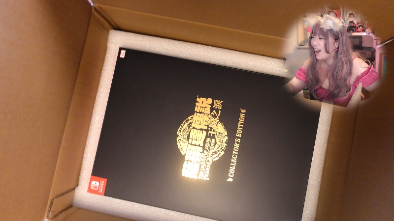 【塞尔达传说：王国之泪】甜心战士的精彩时刻 20230521 10点场